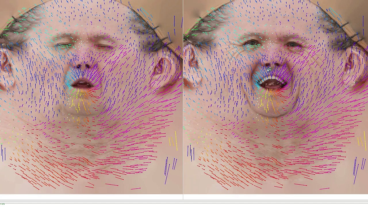Squadron 42 Facial Animation Technology