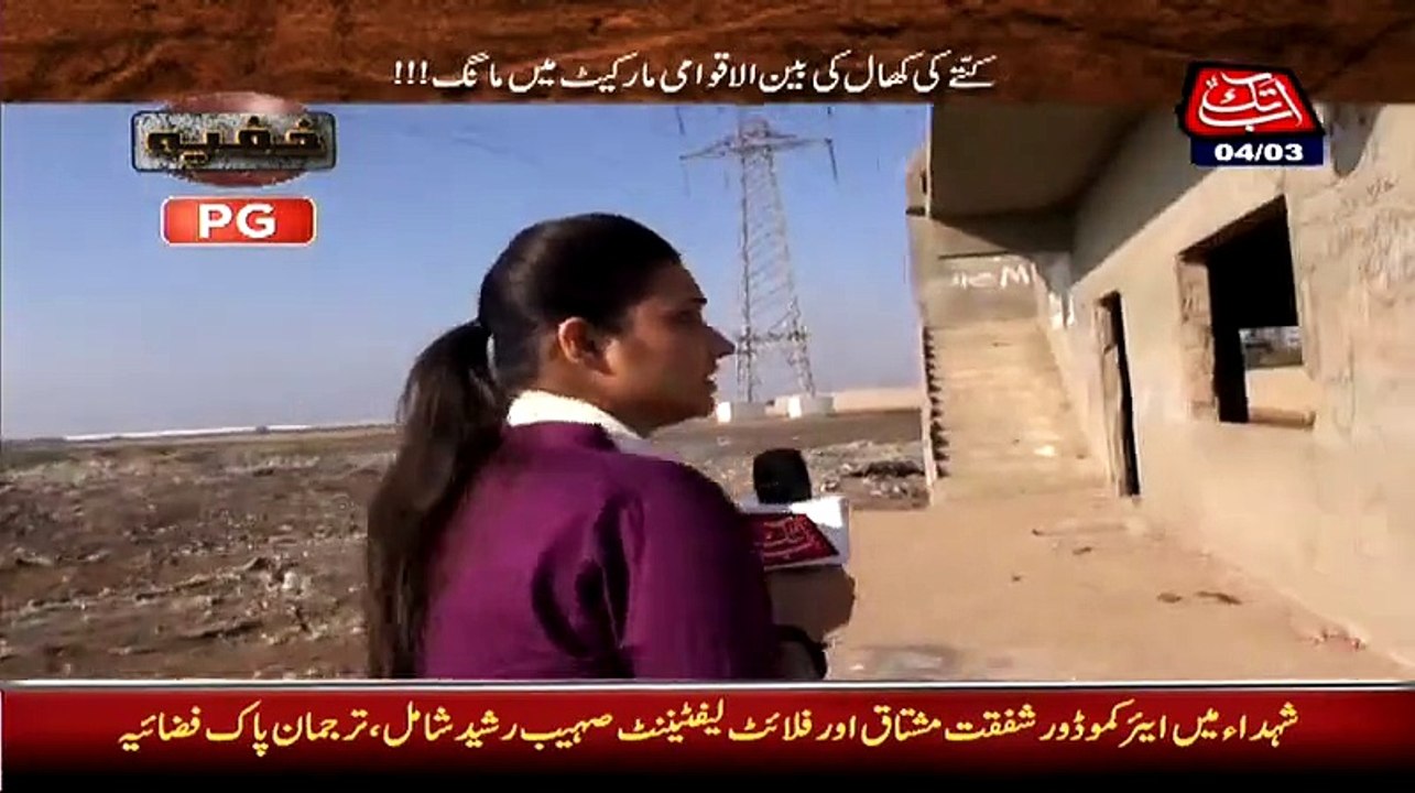 Female anchor started vomiting when she saw people cutting Dog Meat in Karachi - Video Dailymotion