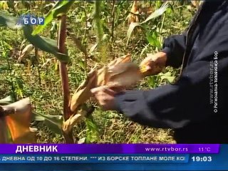 Dnevnik, 11. oktobar 2015. (RTV Bor)