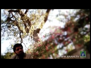 Main Apnay Nabi Key Kuchen Main Chalta Hi Gya by Syed Noman Shah