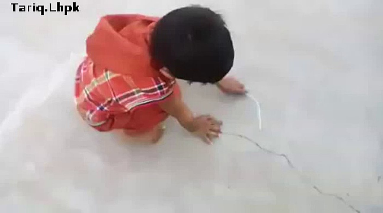 Adept kid