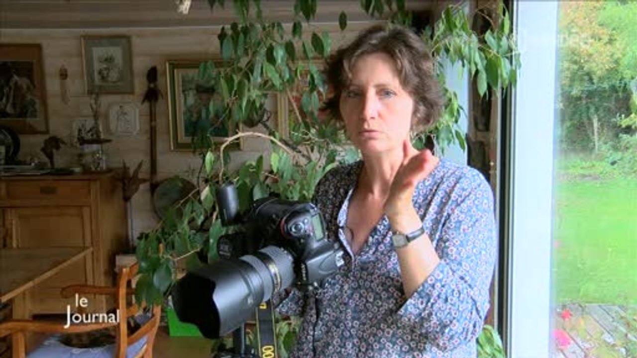 Rêves d'Intérieurs : A la découverte des maisons singulières