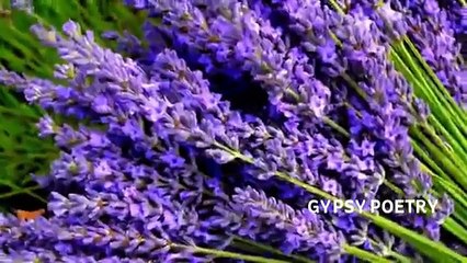 Jaate Jaate Woh Mujhe Achhi Nishani De Gaya