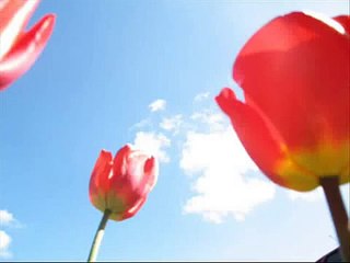 evangelism to migrated  muslims and arabs.