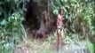 Strange Creature Caught on Tape by Indians Boys in Brazil