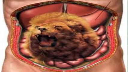 ¿POR QUE SUENAN LAS TRIPAS CUANDO TENEMOS HAMBRE?. Explicacion científica