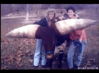 ДУМАЕТЕ ИХ НЕ СУЩЕСТВУЕТ...