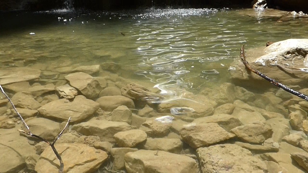Wasserfallweg nesselwang (allgäu)