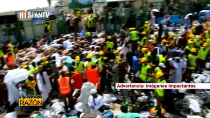 Detrás de la Razón - Estampida mortal