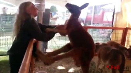 Epic Fails Compilation #17 __ May 2015 __ FailFun