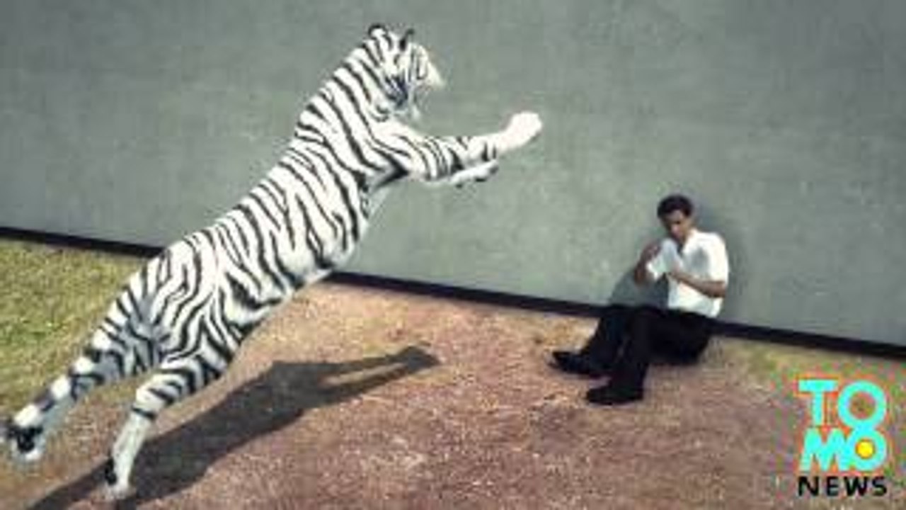 HOW And WHY Tiger kills student who fell into New Delhi zoo enclosure -- caught on video!