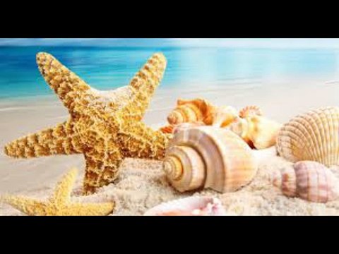 Ferragosto 2015 low cost: 5 offerte last minute imperdibili, dal mare alla montagna