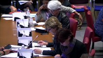 Commission des affaires sociales -PLFSS2016- Annie Le Houerou Députée des Côtes d'Armor