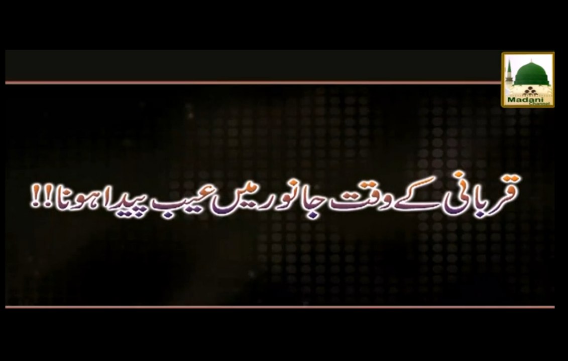 Qurbani kay Waqt Janwar main Aib Peda hona - Darul Ifta Ahlesunnat