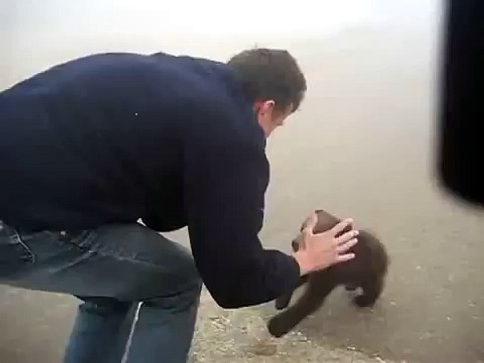 Cutest bear attack ever-lTMwrAefIVQ