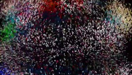 Funny Witch vs Crazy Broom Finger Family 3D _ Crazy Halloween Songs 3D