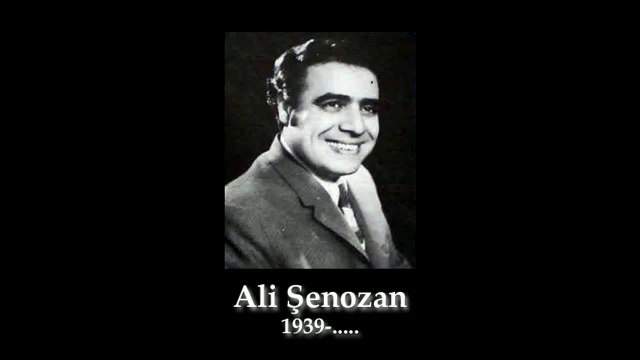 Ali Şenozan Bir bahar akşamı rastladım size