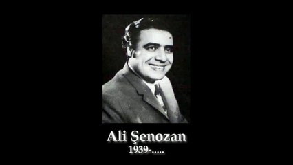 Ali Şenozan Bir bahar akşamı rastladım size