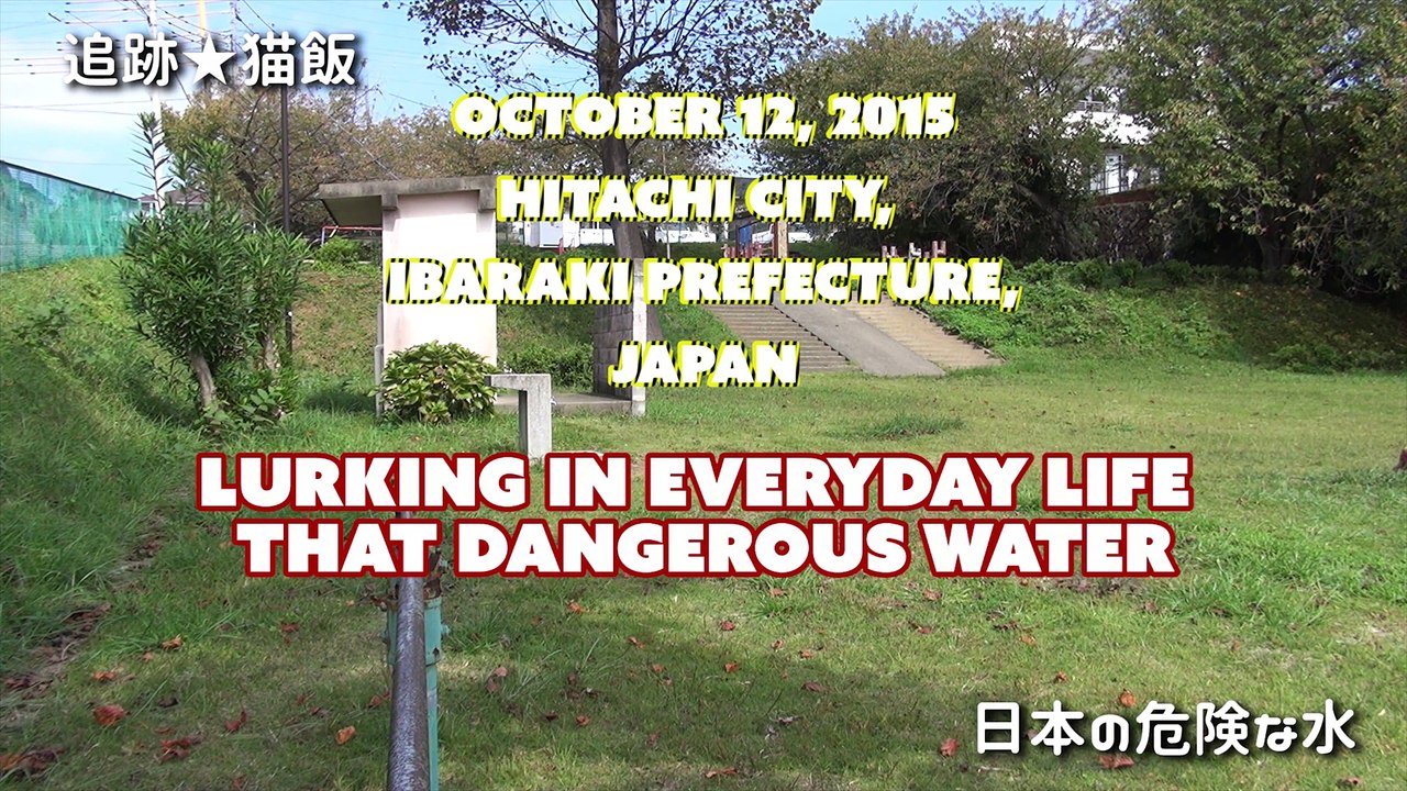日本の最も危険な水