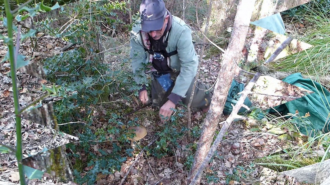 Cépes d'Octobre 2015