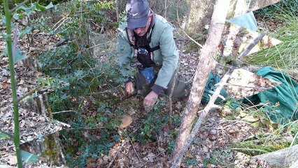 Cépes d'Octobre 2015