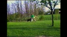 Funny Dog Steal his Owner's Hose and Chases him Down