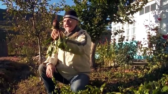 1 место Студия Фишка-фильм - Современный идиот из рода Дон Кихотов