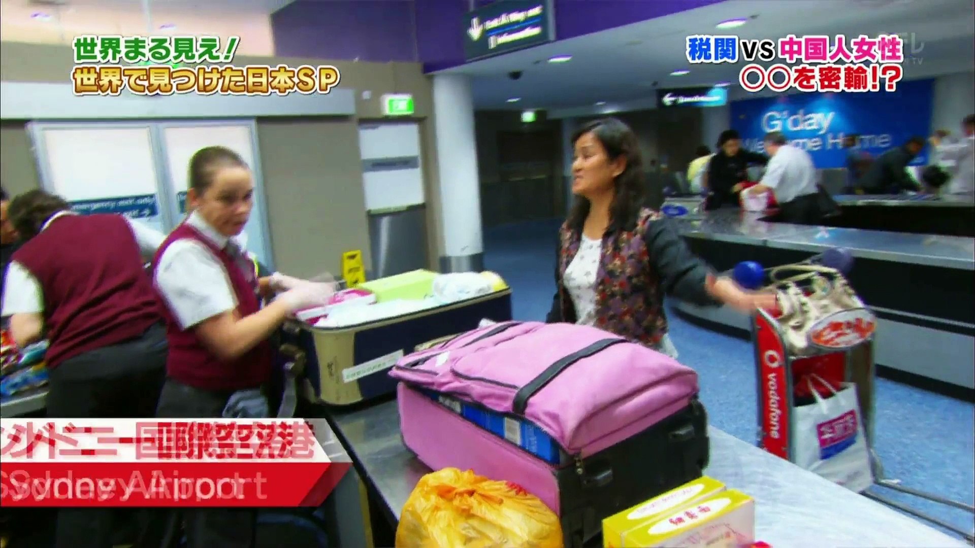世界まる見え オーストラリア税関vs怪しい面々 動画 Dailymotion