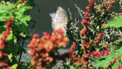 1 место Эдгар Щукин Фатальность