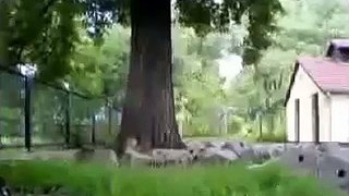 Amazing Parkour Trainings fun-videosmunch