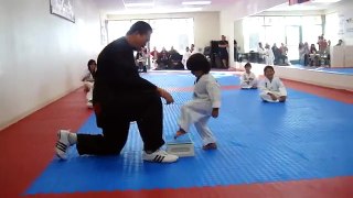 3-Year-Old Tries to Break Board in Taekwondo _ Taekwondo Kid