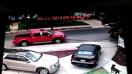 6 Year Old Drives Away in Ford Mustang