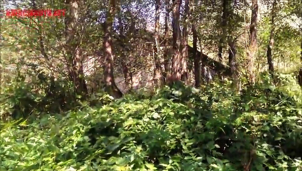 Kayacık ( KizirnoS ) Köyü Tehgut Yaylası 2015