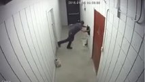 Store Owner Tired of his Place Being Robbed Sets a Trap ... Hilarity Ensues