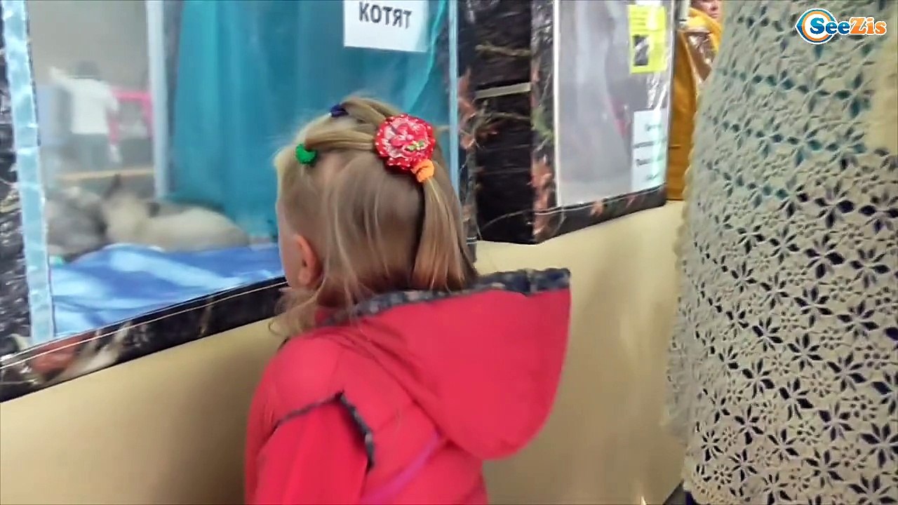 ✔ Выставка Кошечек. Ярослава в гостях у Котят - Kitty and Girl Yaroslava. Exhibition of kitties ✔