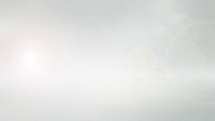 Dog's emotional video