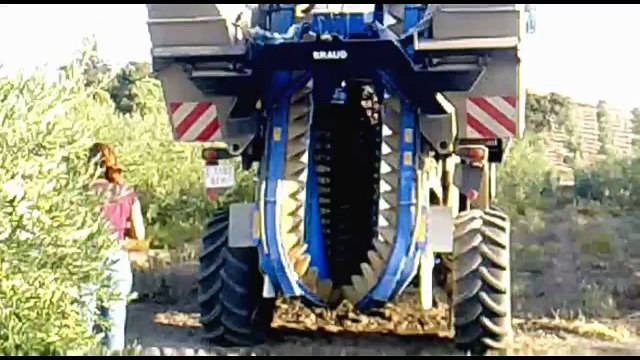 new holland vx7090 oliva | Cosechadora de aceitunas