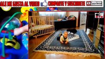 Mejores Videos de Bebes Perros y Gatos SUPER TIERNOS! #1