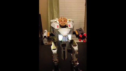 Un lézard sur un robot