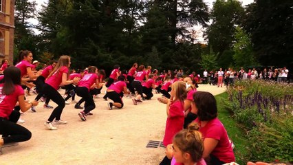 Flash mob TARBES OCTOBRE ROSE