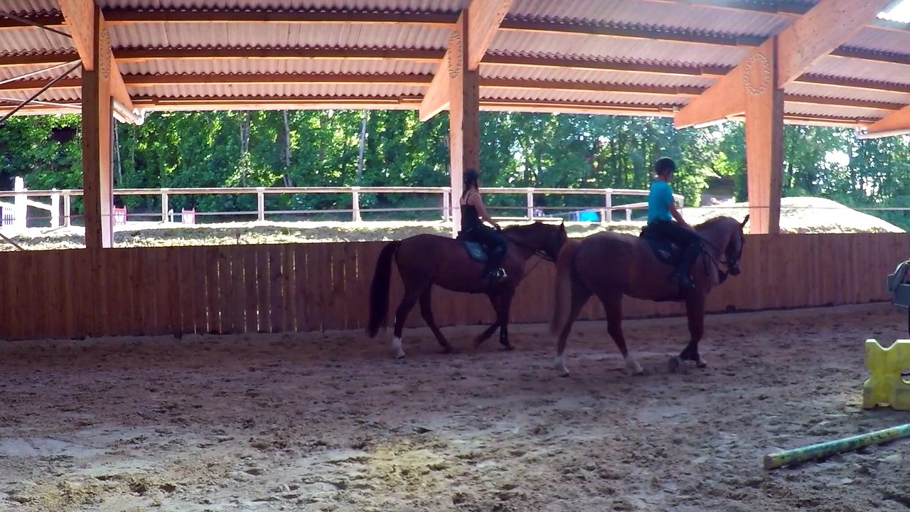 Les écuries de Trangy écurie de propriétaires
