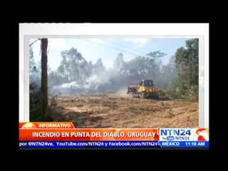 Fuerte incendio en Uruguay deja más de 70 hectáreas afectadas