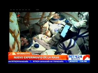 Misión espacial pretende demostrar si la ausencia de gravedad tiene efecto sobre el envejecimiento