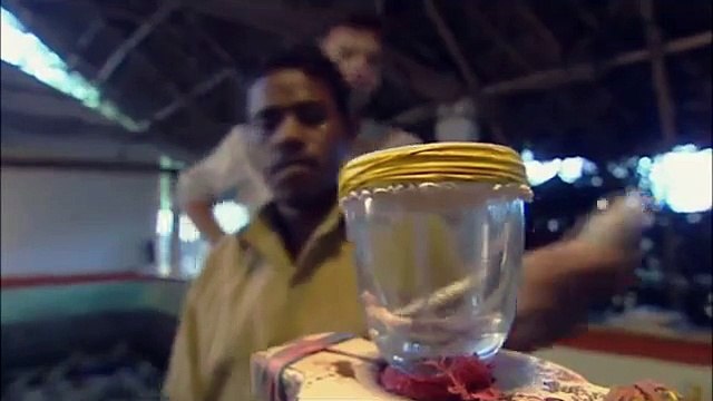 Ecco l'effetto che fa il veleno dei serpenti al nostro sangue