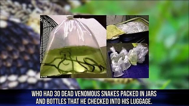 Le cose più assurde mai trovate dalla sicurezza in aeroporto