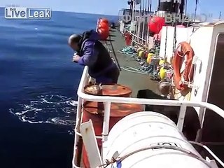 Ecco l'Arpionano! Le immagini del mostro marino fanno il giro del mondo