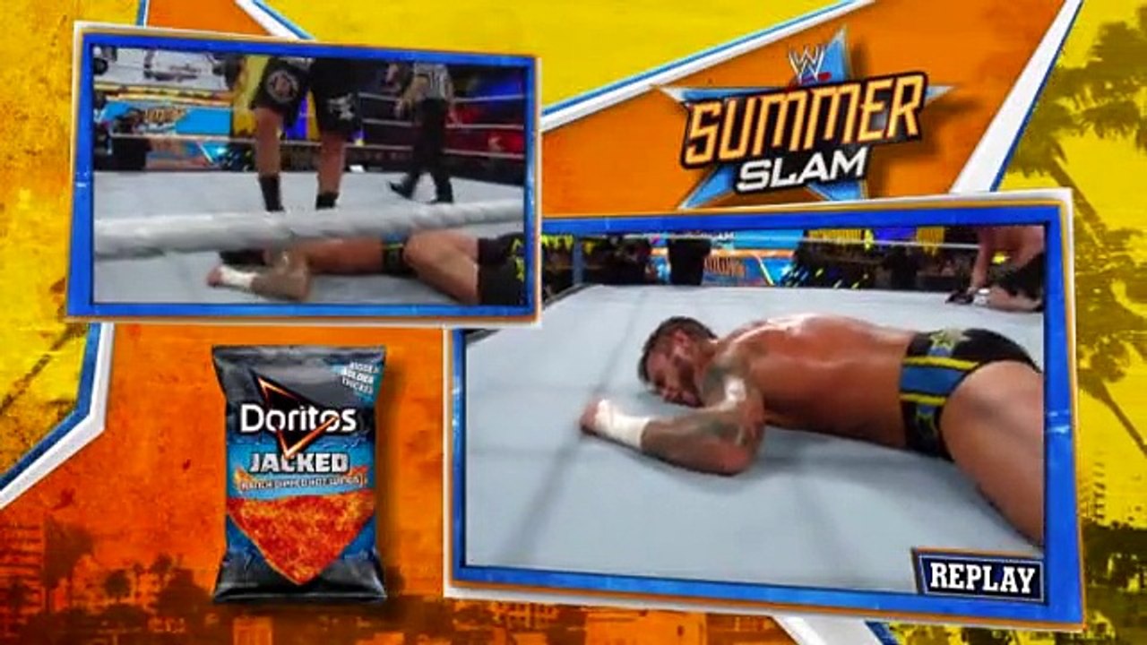 CM Punk vs. Brock Lesnar