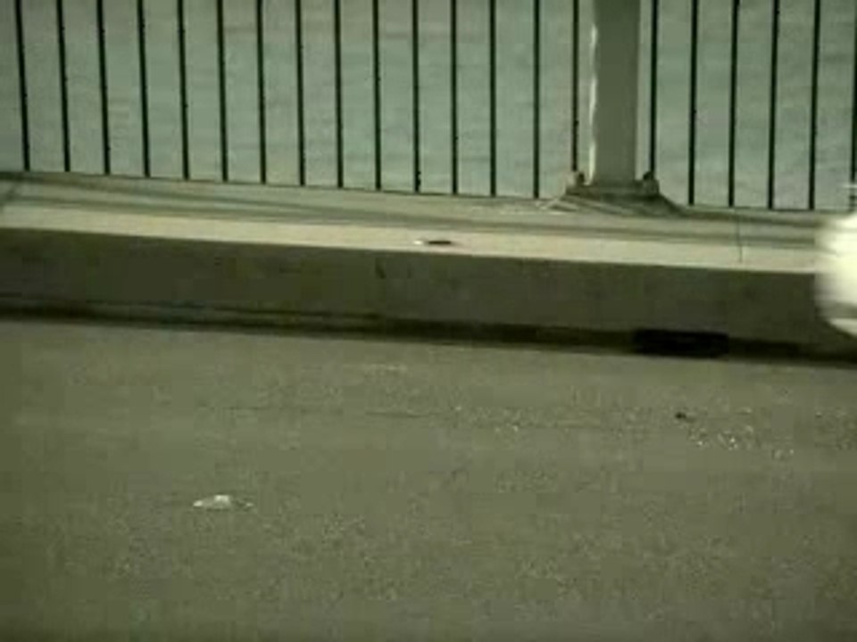 Trunk_Monkey_02