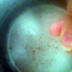 Pranzo veloce e leggero: pasta al pesto biologico in 15 minuti