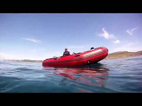 Fate molta attenzione a dove farete il bagno quest'estate: queste non sono normali meduse!